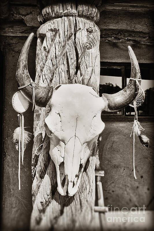 Cow Skull Poster featuring the photograph Cow skull by Bryan Mullennix