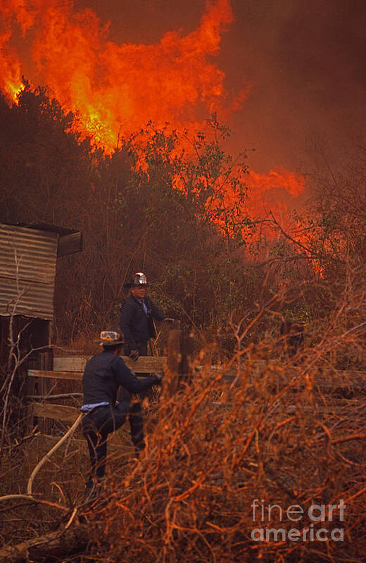 Fire Poster featuring the photograph Coyote Fire - 1969 by J L Woody Wooden