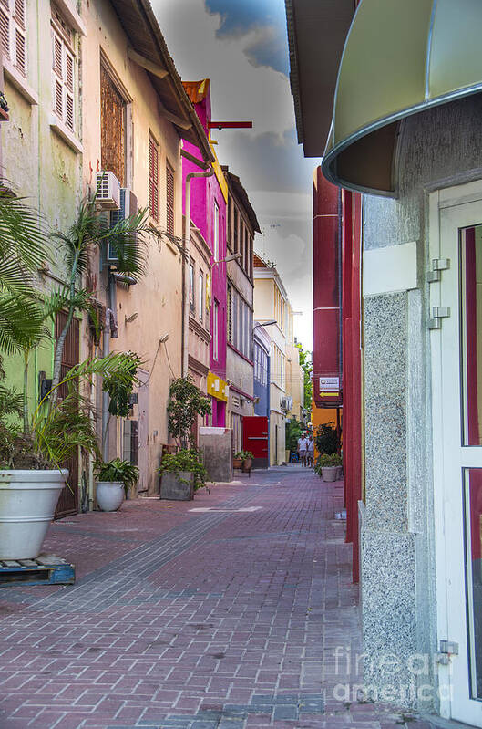 Alley Poster featuring the photograph Curacao Alley by Louise Magno