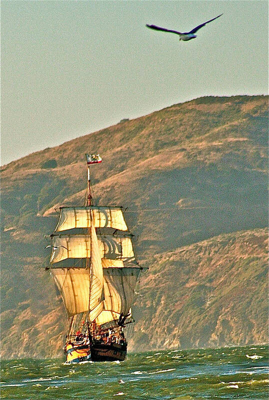 Sailing Ship Poster featuring the pyrography Cutty Sark by DUG Harpster