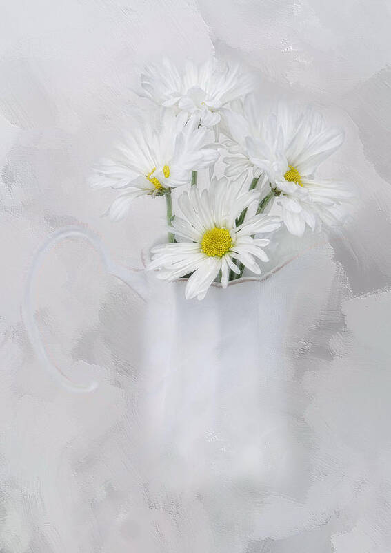 Daisies Poster featuring the photograph Daisies by Robin-Lee Vieira