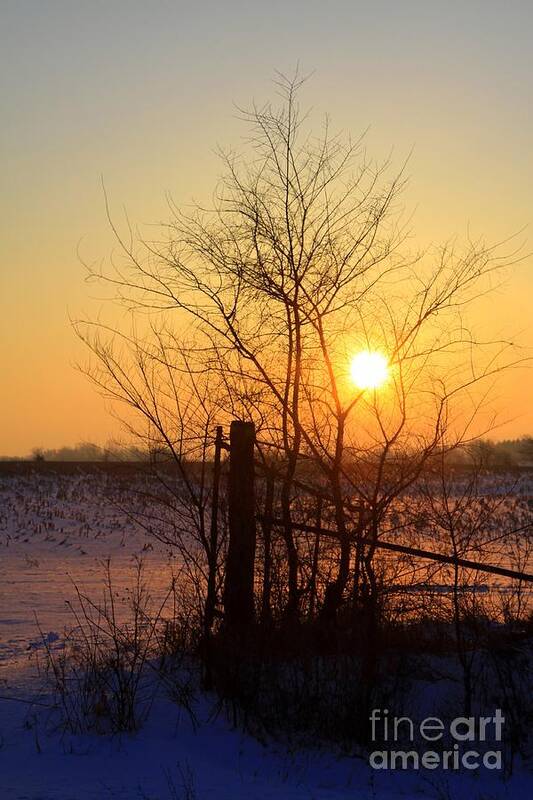 Sun Poster featuring the photograph Dawns Early Light by Rick Rauzi