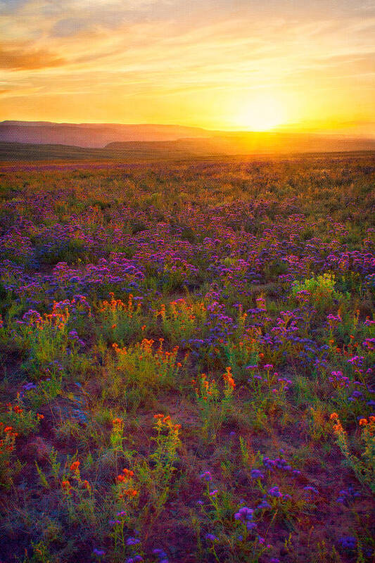 Sunset Poster featuring the digital art Desert Sunset on Canvas by Rick Wicker