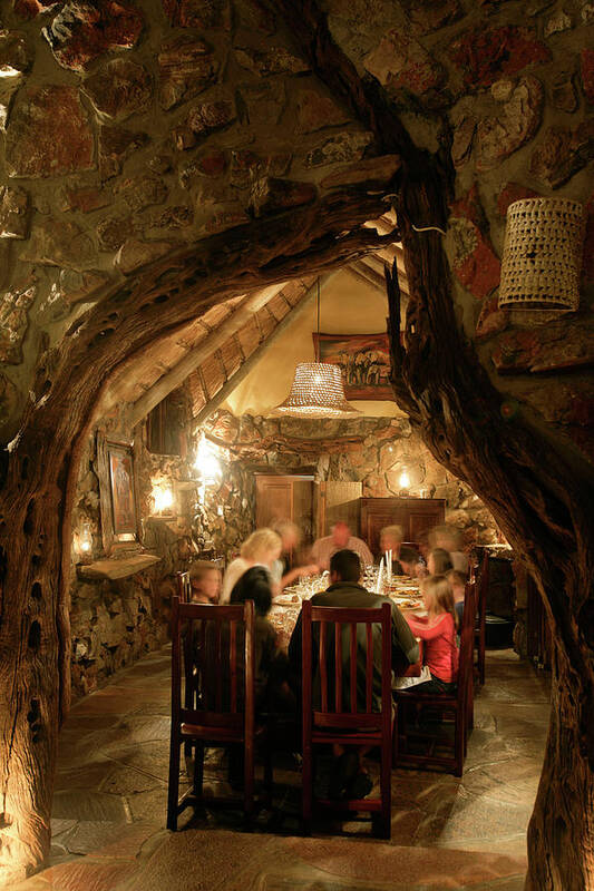 Adult Poster featuring the photograph Dinner At A Game Reserve In South by Clay McLachlan