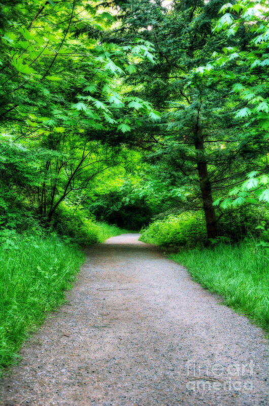 Discovery Poster featuring the photograph Discovery Park Loop Trail by Eddie Yerkish