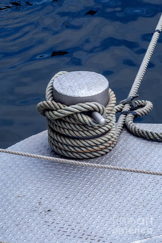 Dock Bollard with Grey Boat Rope by Iris Richardson