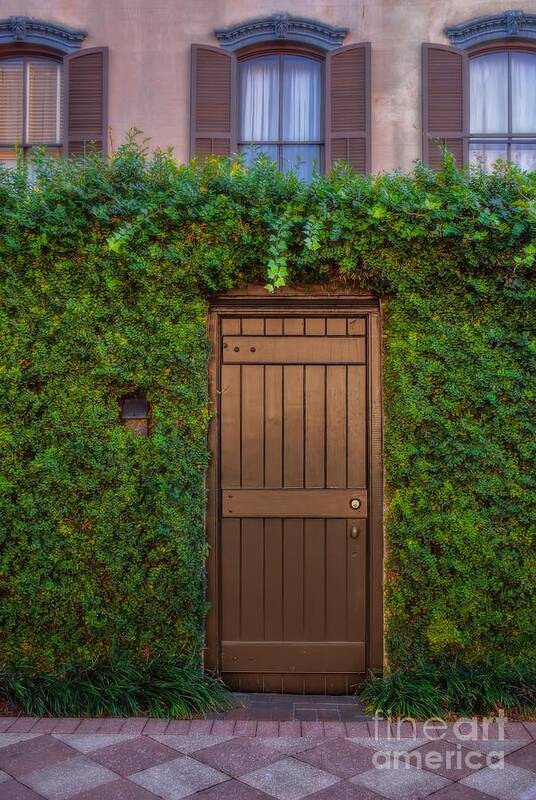 Savannah Poster featuring the photograph Door in the Hedge Savannah by Henry Kowalski