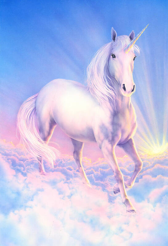 Andrew Farley Poster featuring the photograph Dream Unicorn by MGL Meiklejohn Graphics Licensing