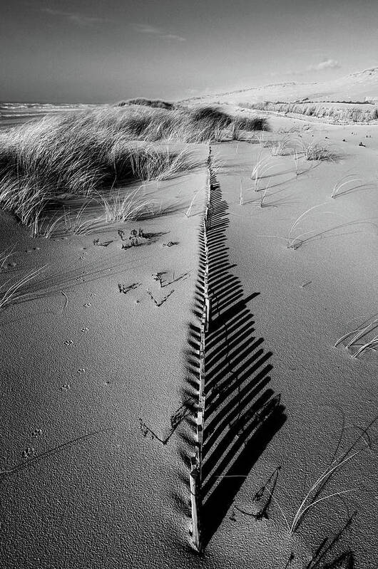 Landscape Poster featuring the photograph Dune # 5 by Pascal Rousse