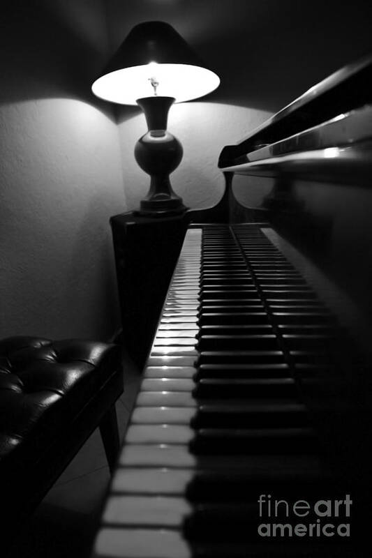 Piano Poster featuring the photograph Ebony and Ivory by Al Bourassa
