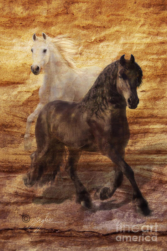 Black Horses Poster featuring the photograph Ebony and Ivory by Melinda Hughes-Berland