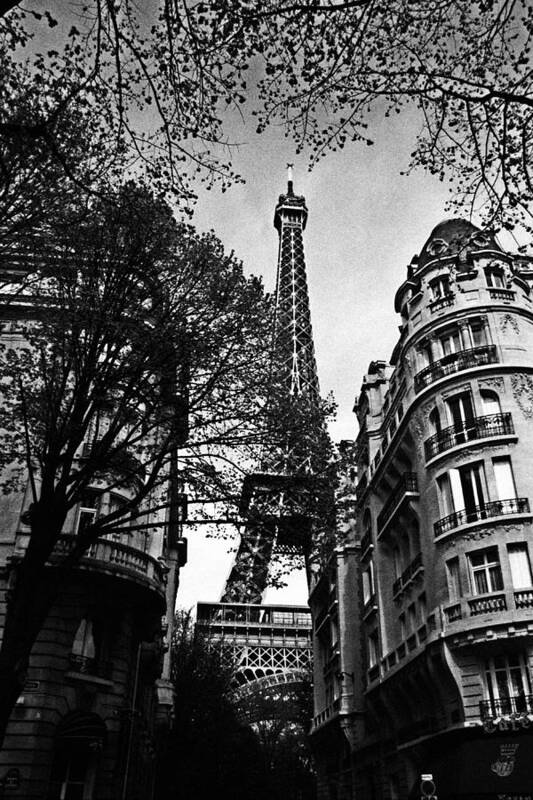 Vintage Eiffel Tower Poster featuring the photograph Eiffel Tower Black and White by Andrew Fare