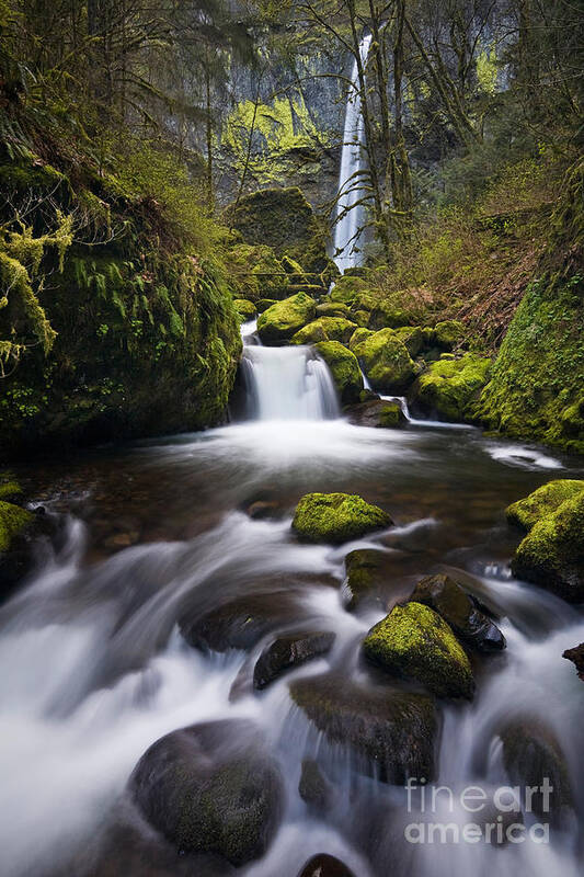 Columbia River Poster featuring the photograph Elowah Falls in Oregon by Sean Bagshaw