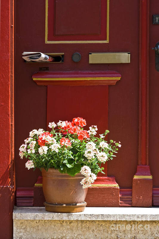  Poster featuring the photograph Entrance door with flowers by Heiko Koehrer-Wagner