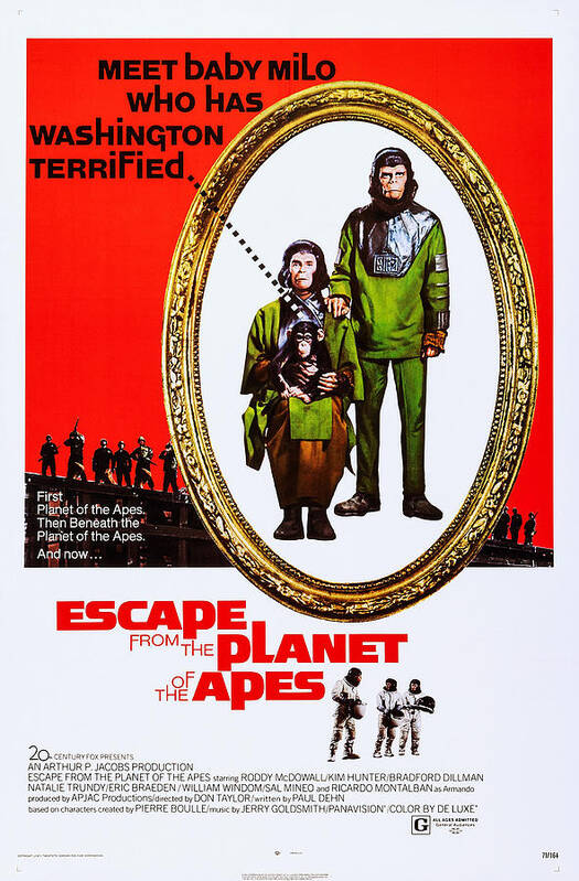 1970s Poster Art Poster featuring the photograph Escape From The Planet Of The Apes, Kim by Everett