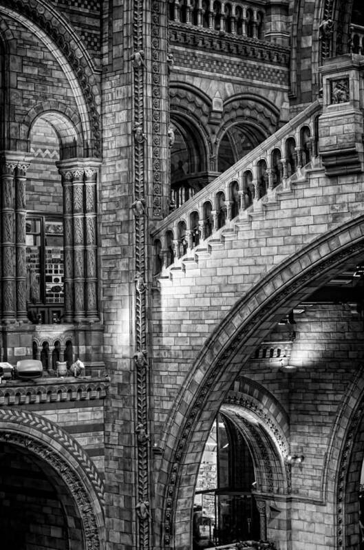 Architecture Poster featuring the photograph Escheresq BW by Heather Applegate