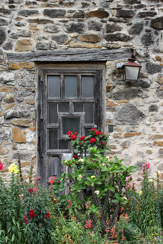 San Antonio Missions National Park Poster featuring the photograph Espada Doorway with Flowers by Mary Bedy