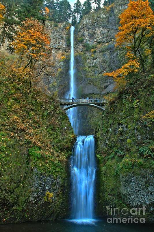 Multnomah Poster featuring the photograph Fall At Multnomah by Adam Jewell