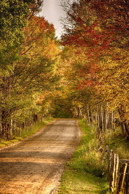 Autumn Foliage New England Poster featuring the photograph Fall color along a Peacham Vermont backroad by Jeff Folger