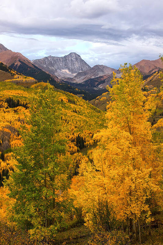 Capitol Peak Poster featuring the photograph Fall Colors in Snowmass Colorado by Ronda Kimbrow