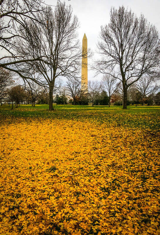 Washington Poster featuring the photograph Fall in Washington by Ross Henton