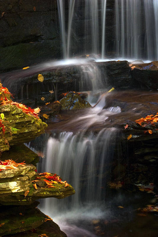 Ricketts Glen Poster featuring the photograph Falls and Fall Leaves by Paul W Faust - Impressions of Light