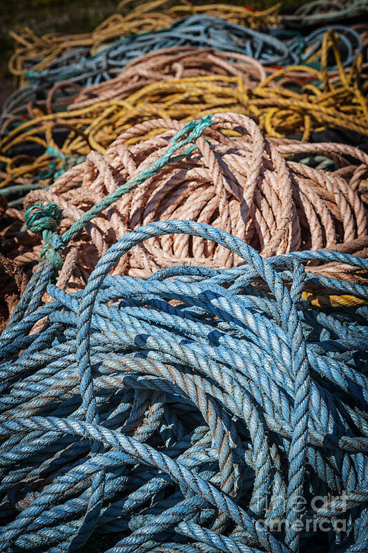 Ropes Poster featuring the photograph Fishing ropes 2 by Elena Elisseeva