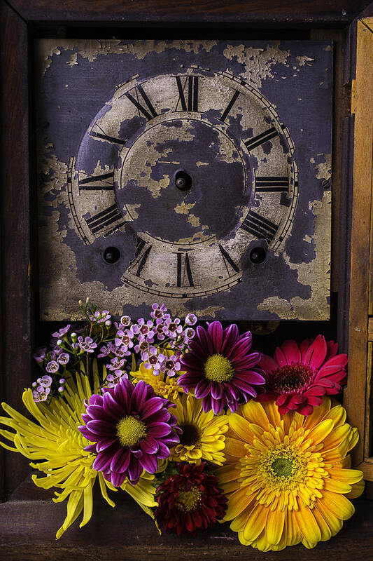 Daisy Flower Poster featuring the photograph Flower Clock by Garry Gay