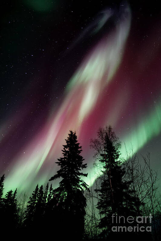 Northern Light Poster featuring the photograph Flowing Colours by Priska Wettstein