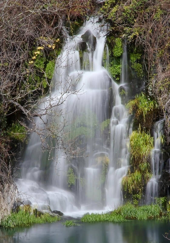 Waterfall Poster featuring the photograph Silky Waterfall by Athena Mckinzie