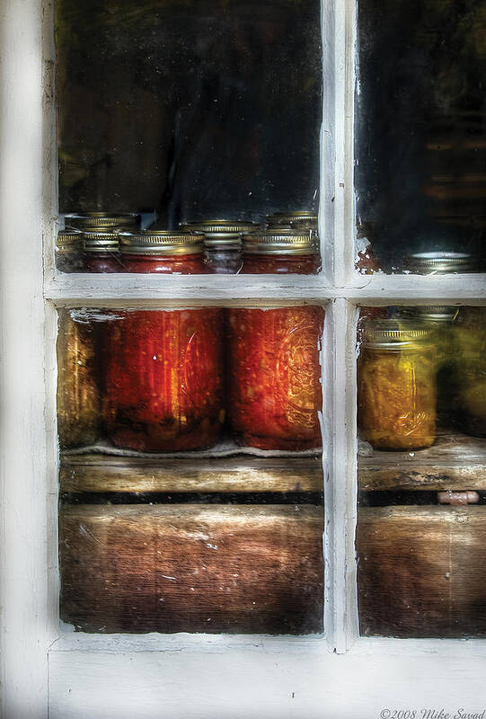 Savad Poster featuring the photograph Food - Country Preserves by Mike Savad