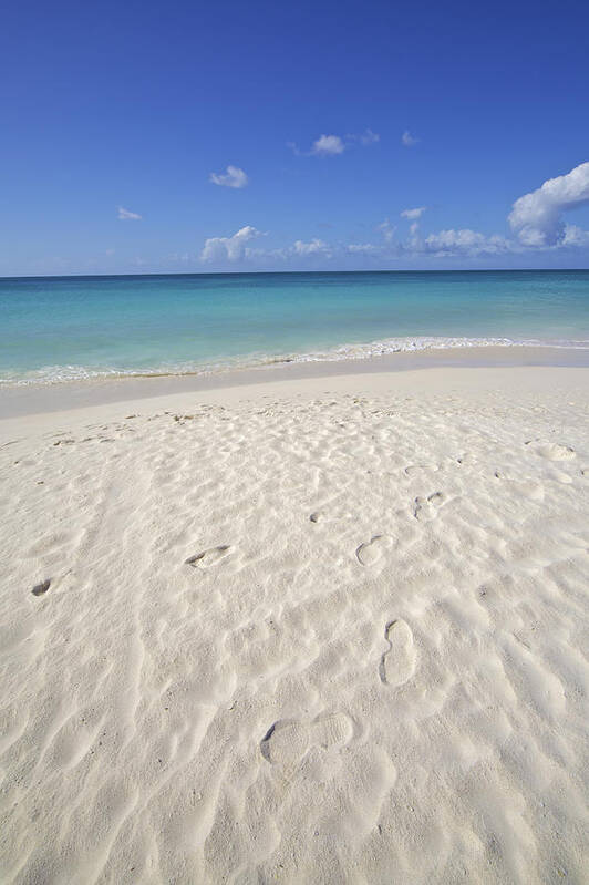 Aruba Poster featuring the photograph Footprints in the Powdery White Sand of Aruba by David Letts