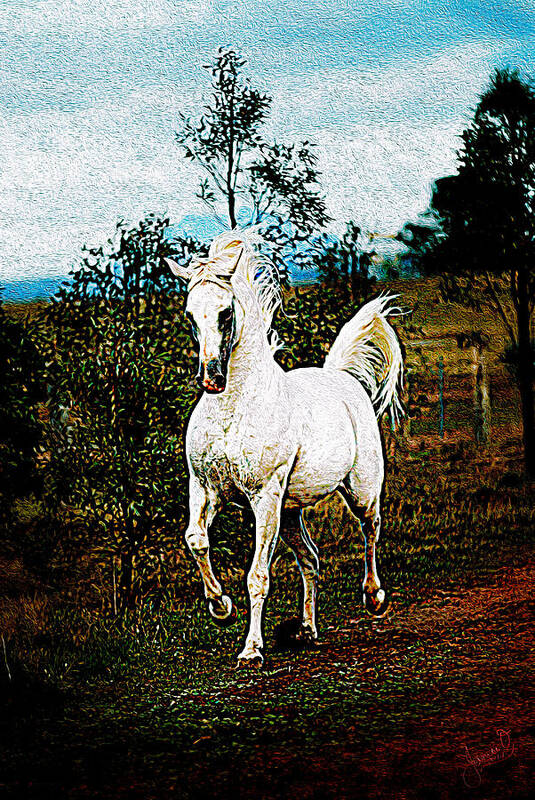 Horse Poster featuring the digital art Gallop by Janice OConnor