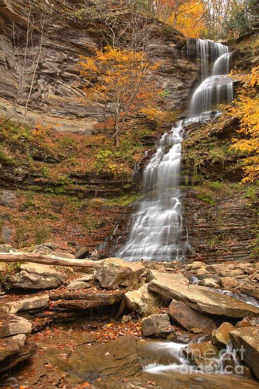 Cathedral Falls Poster featuring the photograph Gauley Bridge Cathedral Falls by Adam Jewell