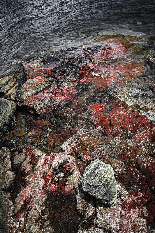 Rocks Poster featuring the photograph Georgian Bay rocks abstract III by Elena Elisseeva