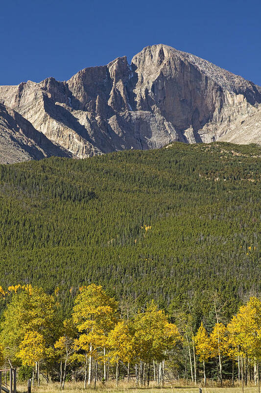 Colorado Poster featuring the photograph Golden Longs Peak View by James BO Insogna