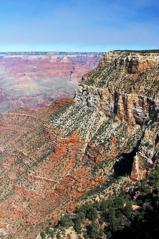 Grand Canyon Poster featuring the photograph Grand Canyon South Rim by Michael Hope