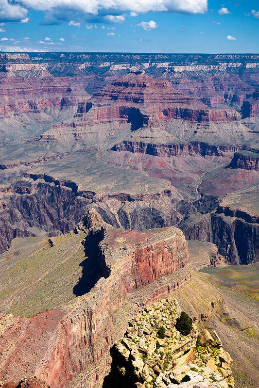 Grand Canyon Poster featuring the photograph Grand Canyon Study 5 by Robert Meyers-Lussier