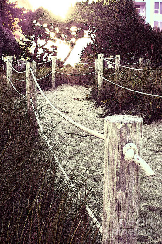 Deerfield Beach Poster featuring the photograph Grassy Beach Post Entrance at Sunset by Janis Lee Colon