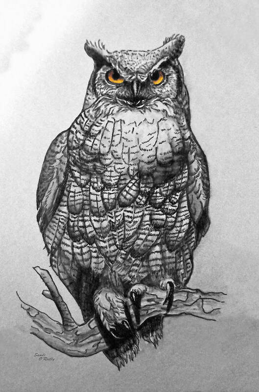 Great Horned Owl Poster featuring the painting Great Horned Owl Black And White by Sandi OReilly