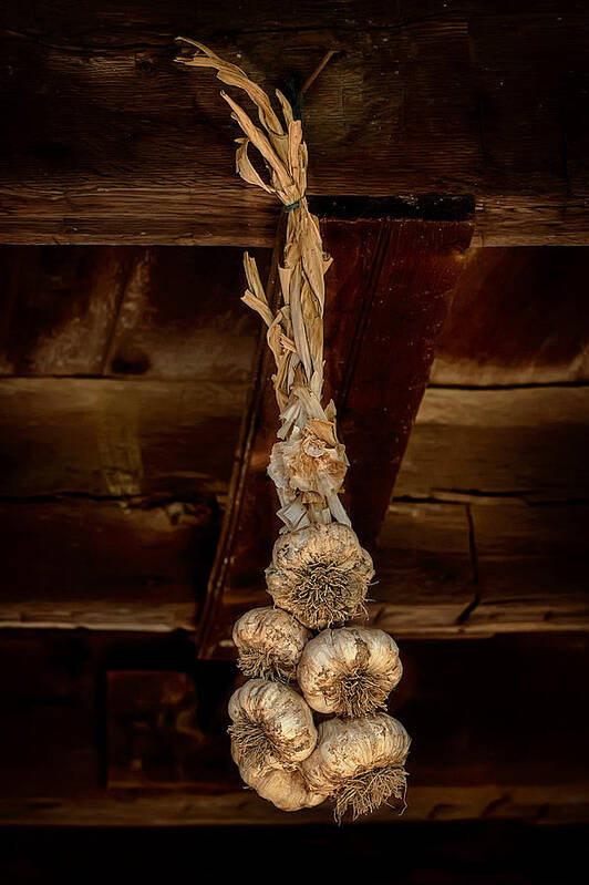 Garlic Poster featuring the photograph Hanging Garlic by Gary Slawsky