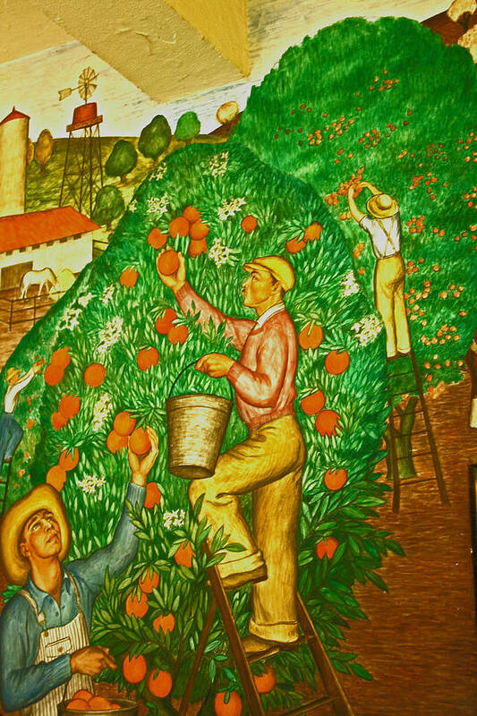 Coit Tower Poster featuring the digital art Harvest Time by Joseph Coulombe