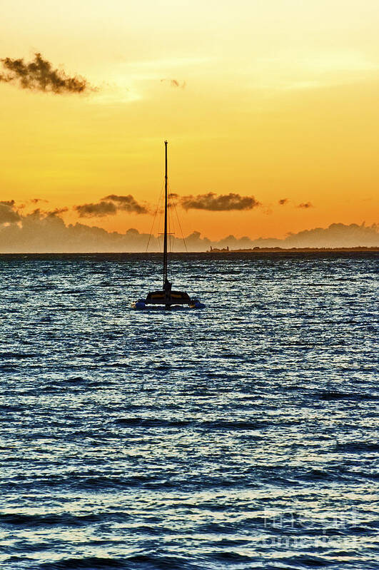 Hawaiian Poster featuring the photograph Hawaiian Beach on Maui 10 by Micah May