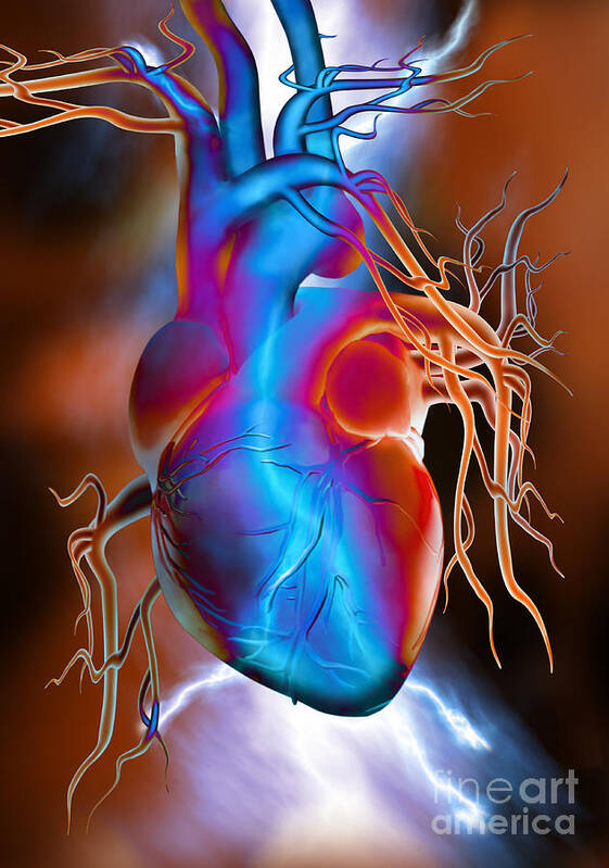 Heart Poster featuring the photograph Heart Attack by Mike Agliolo
