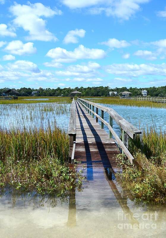 Scenic Poster featuring the photograph High Tide At Pawleys Island by Kathy Baccari