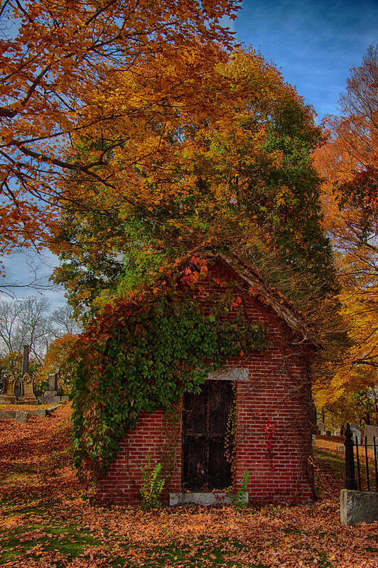 autumn Foliage New England Poster featuring the photograph Holding up the fall colors by Jeff Folger