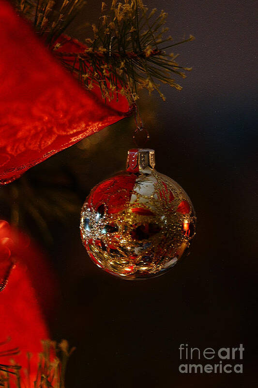 Christmas Poster featuring the photograph Holiday Season by Linda Shafer