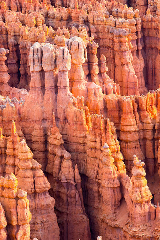 Bryce Canyon National Park Poster featuring the photograph Hoodoos of Bryce by Jim Snyder