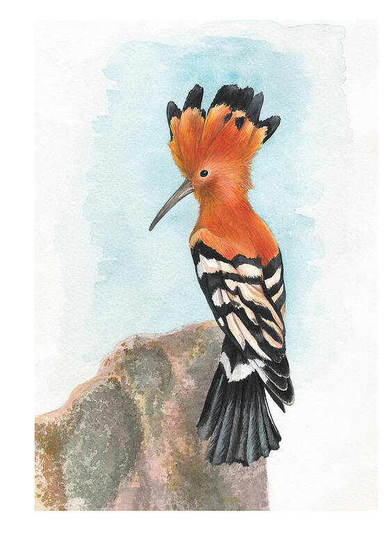 Hoopoe Poster featuring the painting Hoopoe by Deborah Runham