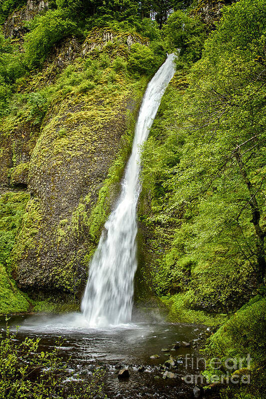 Horsetail Fall Poster featuring the photograph Horsetail Falls by Carrie Cranwill